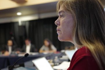 La CIDH pidió información al Estado argentino por la situación mapuche