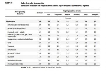 En la Patagonia la inflación de octubre fue de 2,9 por ciento