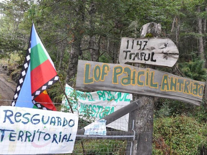 Emergencia territorial indígena: Diputado denunció que recibió mensajes intimidatorios