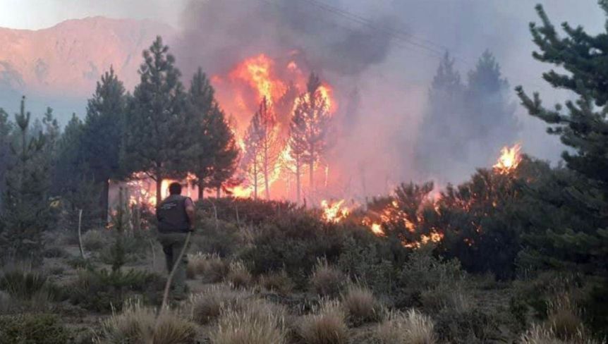 El Consejo Federal de Medio Ambiente declaró la emergencia ígnea a nivel nacional