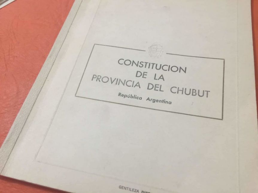 La delgada línea: ¿Son constitucionales la Ley de Lemas y las reelecciones indefinidas?