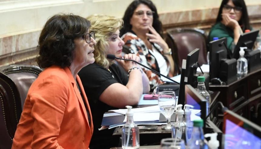 Senadora patagónica presentó un proyecto alternativo de reforma de la Corte