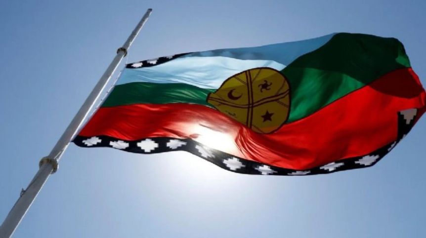 Duros cruces entre diputados por usos de la bandera mapuche y una fake news