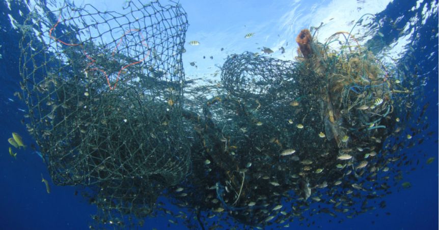 La Provincia elevó el reclamo a Nación por la pesca: la mayoría de la materia prima sin procesar se va a Mar del Plata