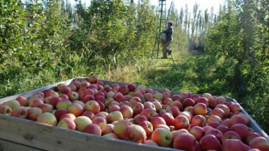 Los productores de fruta del Alto Valle acercaron sus reclamos a Sergio Massa