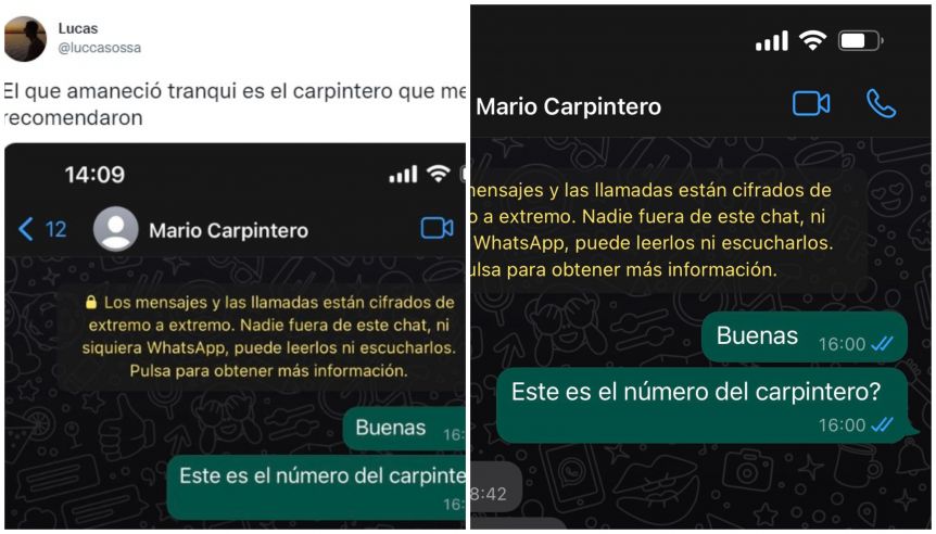 Viral: contactó a un carpintero por Whatsapp y la respuesta que recibió hizo estallar a todos