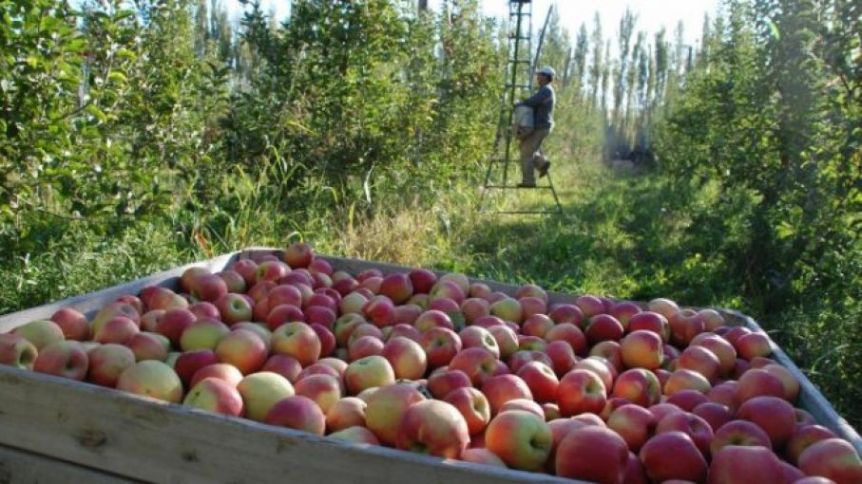 La Provincia prorrogó el estado de emergencia y desastre para los productores de fruta