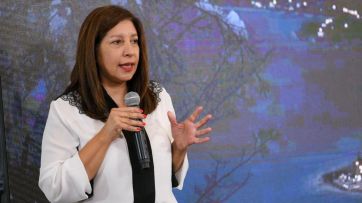 Carreras insiste con el Hidrógeno Verde ante la Agencia Internacional de Energía