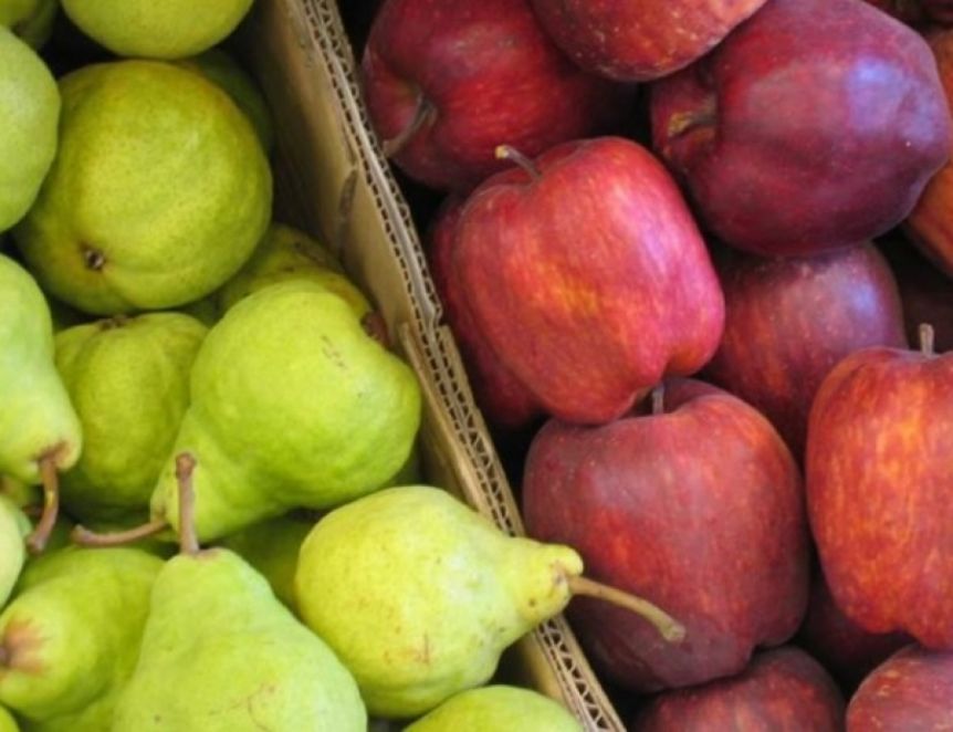Alarma para la fruticultura: cayó la exportación de peras y manzanas durante 2022