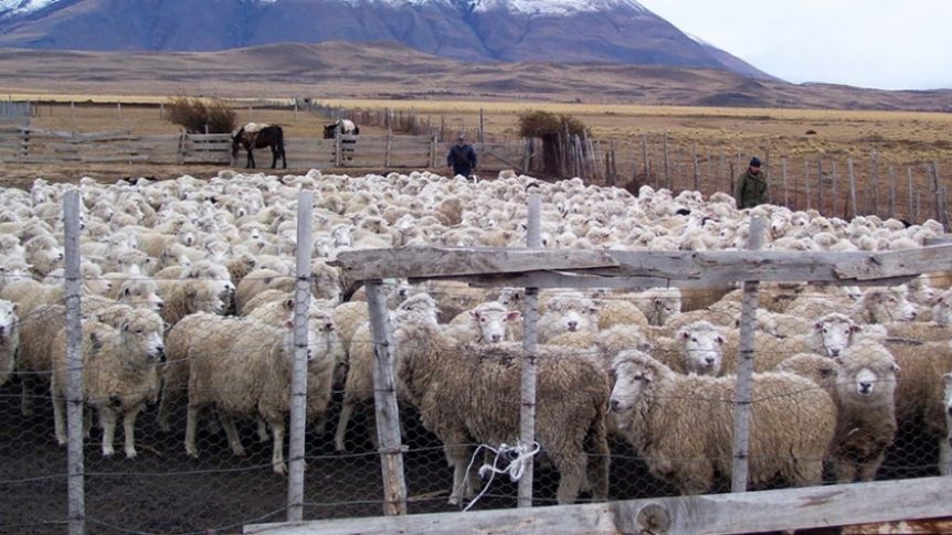 El Gobierno Nacional lanzó el Programa