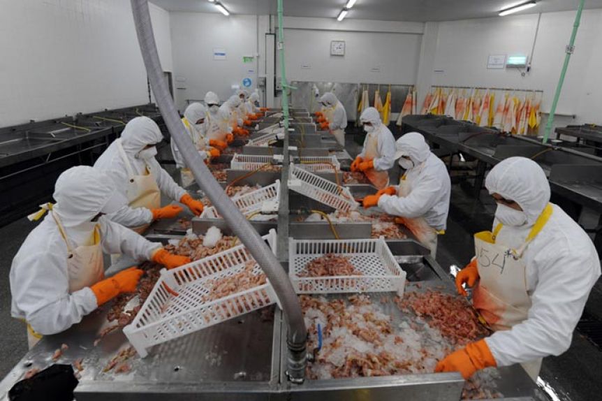 Industrias pesqueras reclaman un dólar diferencial y acompañamiento de Arcioni