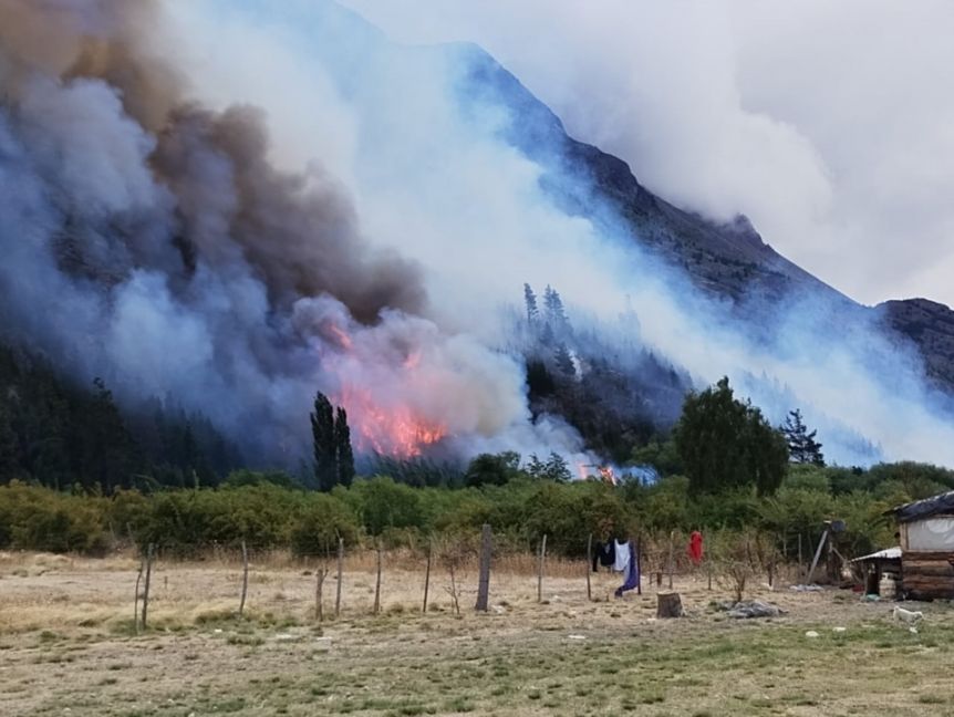 Otro incendio intencional: arduos trabajos para contener las llamas en El Pedregoso