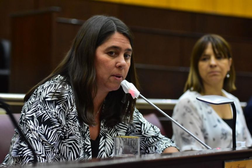 Quiénes quedan a cargo de la Legislatura mientras dure la licencia de Koopmann