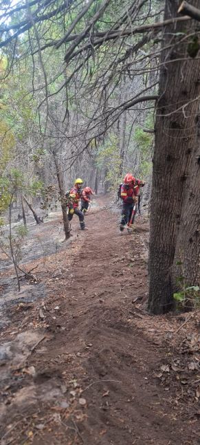Continúa el despliegue de recursos para controlar el incendio en cercanías de Epuyén