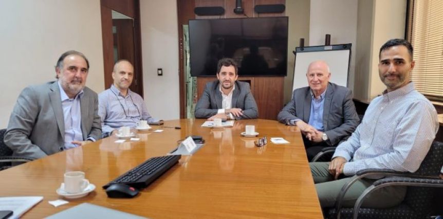 Parque Eólico Picún Leufú: se venderá energía por millones de dólares