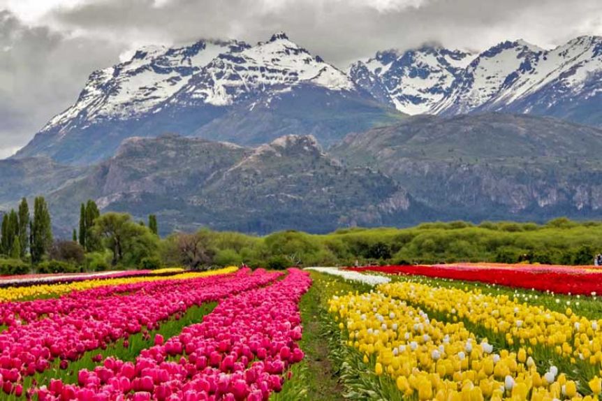 Cultura galesa y tulipanes: Trevelin, el pueblo patagónico reconocido entre los mejores del mundo