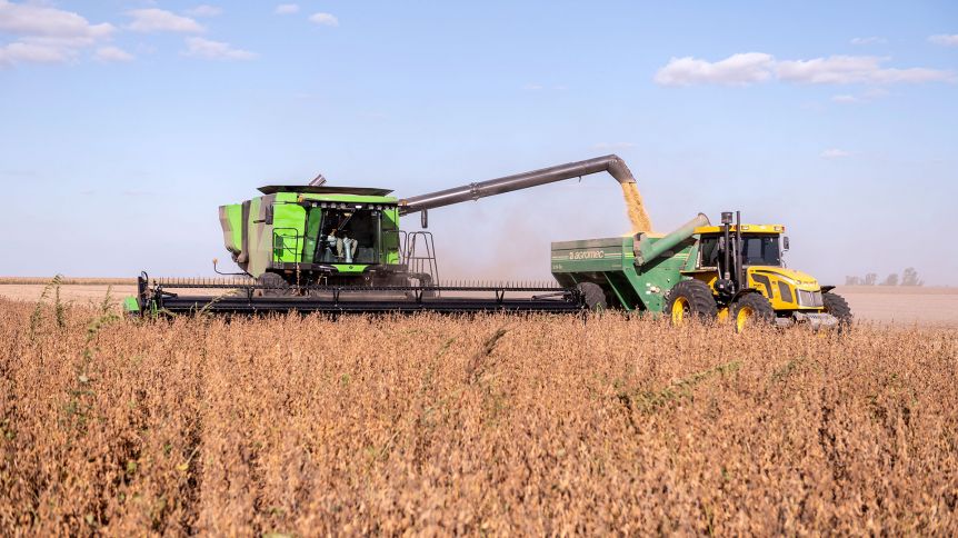 El dólar agro no “camina”: los motivos