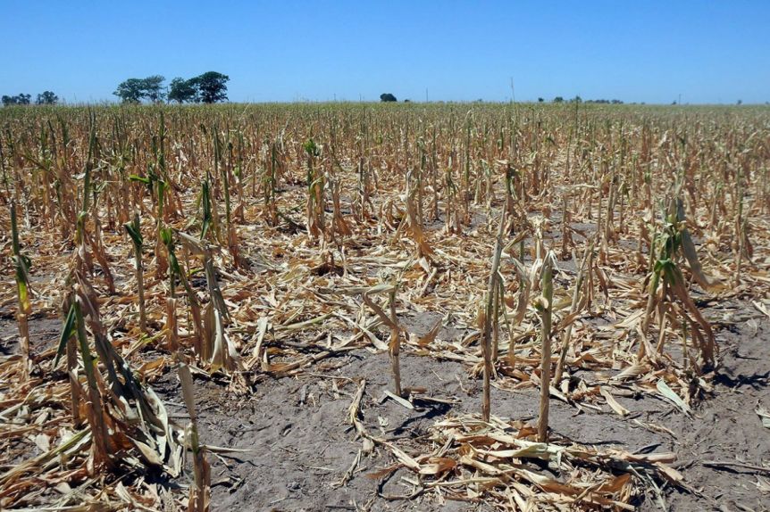 El campo presiona por las pérdidas millonarias y la falta de reservas