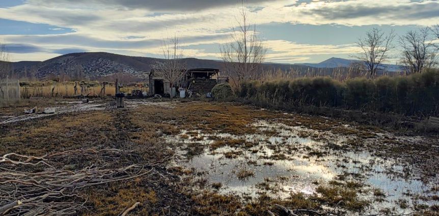 La Provincia declaró Estado de Emergencia y/o Desastre Hídrico, Climático y Agropecuario