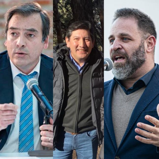 Las regiones que resistieron el efecto Milei en la Patagonia