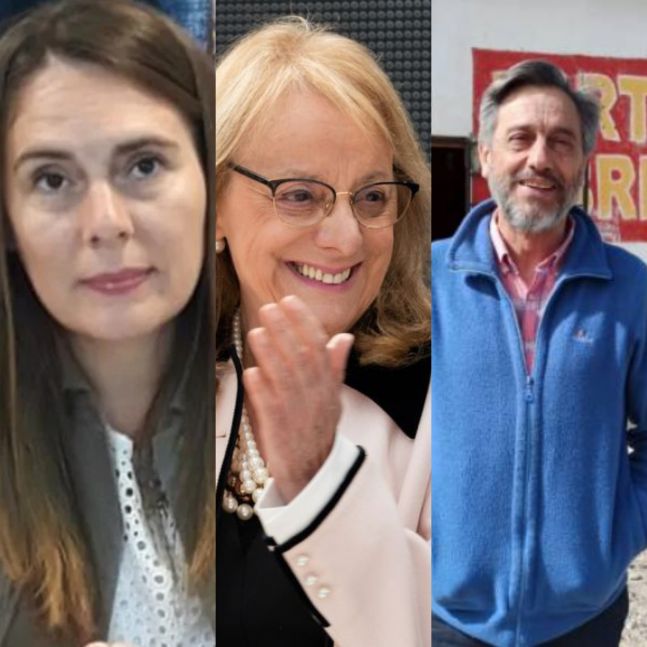 Quiénes quedaron en carrera para la representación de Santa Cruz en el Senado