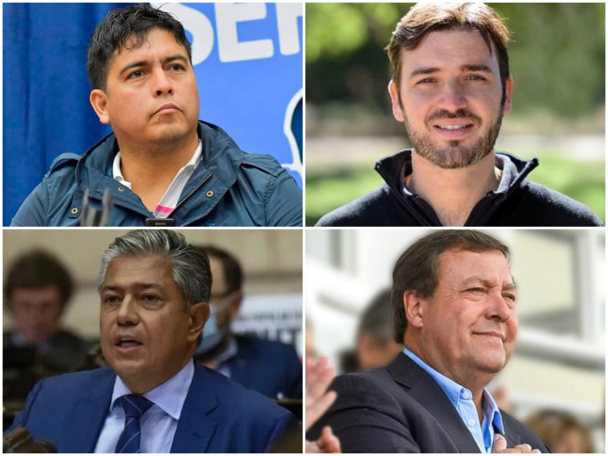 Cuál es el patrimonio de los Gobernadores Electos de la Patagonia