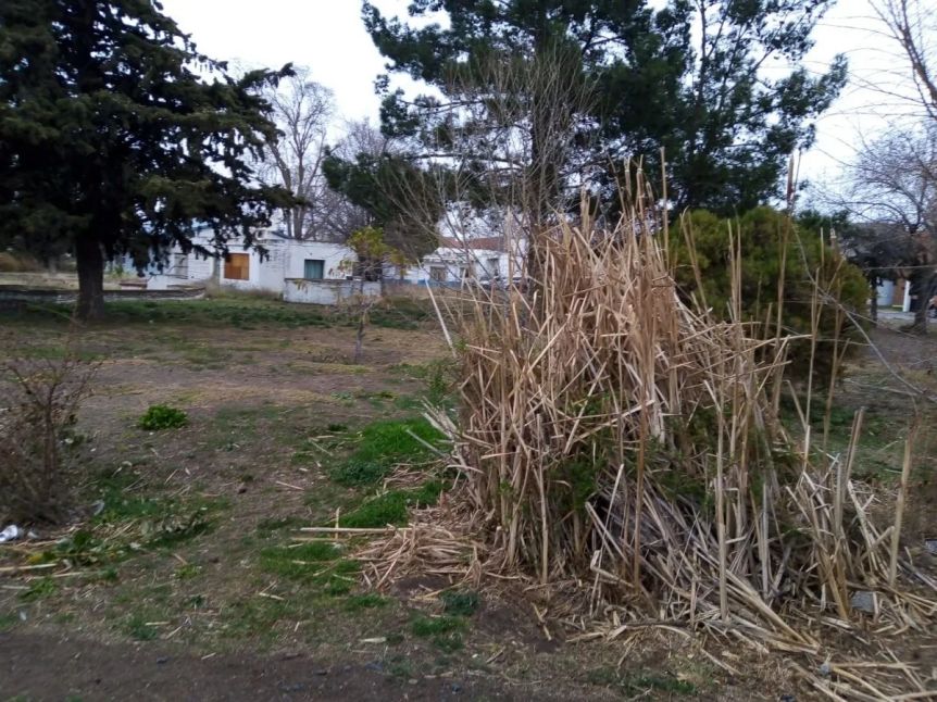 El Concejo dio luz verde a la venta de tierras fiscales en Viedma: cómo será el proceso