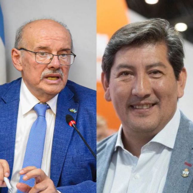 Qué papel pueden jugar los partidos provinciales en las generales