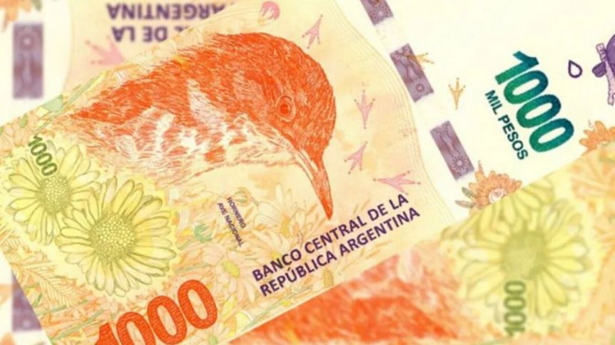 Las Provincias de la Patagonia igualaron en promedio al resto del País en transferencias automáticas