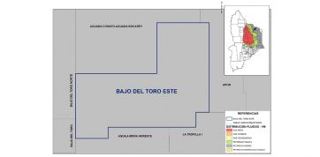 Nueva concesión: la letra chica del contrato de exploración para el área Bajo del Toro Este