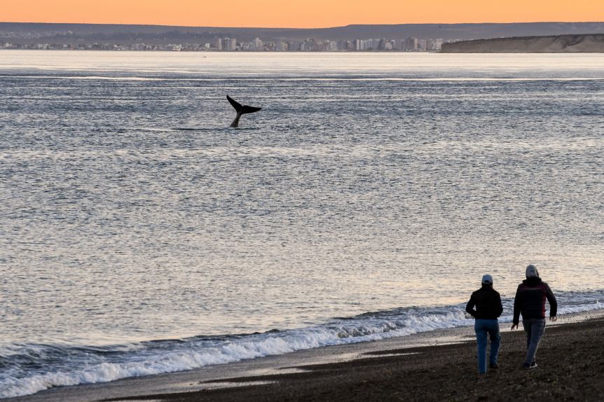 Madryn batió sus propios récords con ocupación plena durante todo el finde XXL