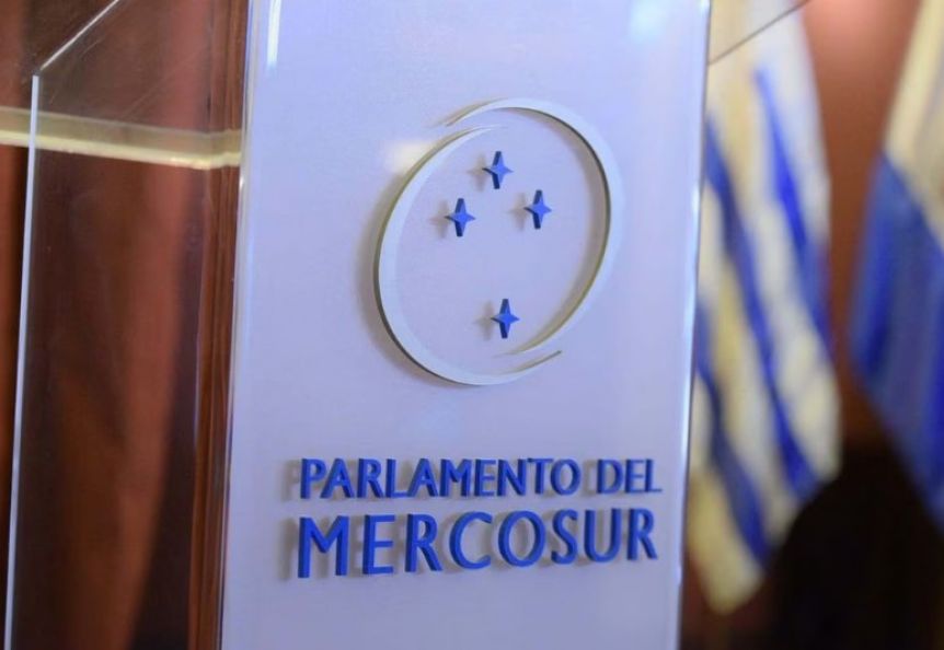 Quiénes serán los representantes patagónicos en el Parlasur Regional