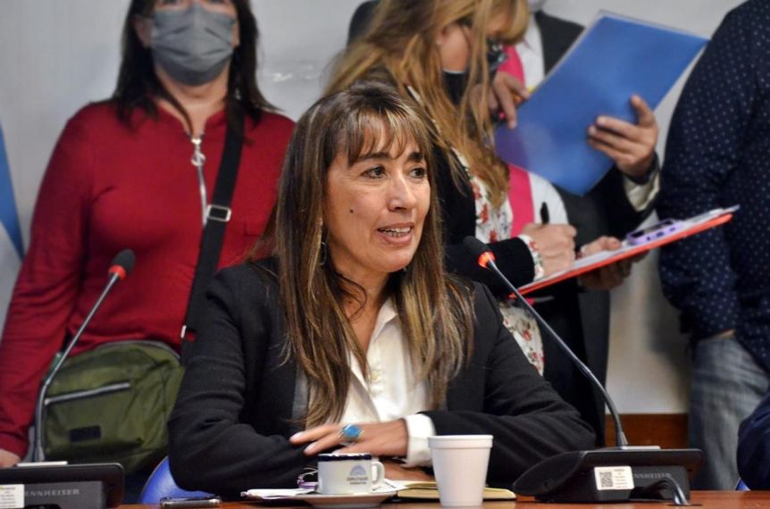 Niñez: el pedido especial de una diputada santacruceña para Milei