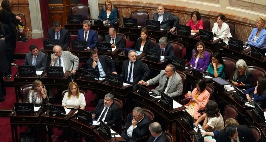 Senadores norpatagónicos marcaron la cancha por la implementación de los DNU