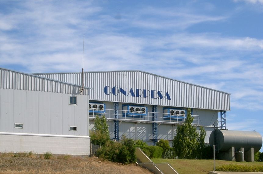 Desmintieron la venta de una de las pesqueras más grandes de Chubut a un grupo español