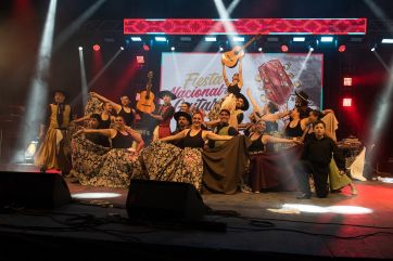 Con gran asistencia comenzó la Fiesta Nacional de la Guitarra