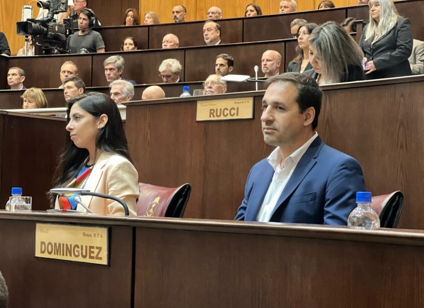 Diputados del MPN pidieron que el inglés sea obligatorio desde el primer grado en la escuela pública