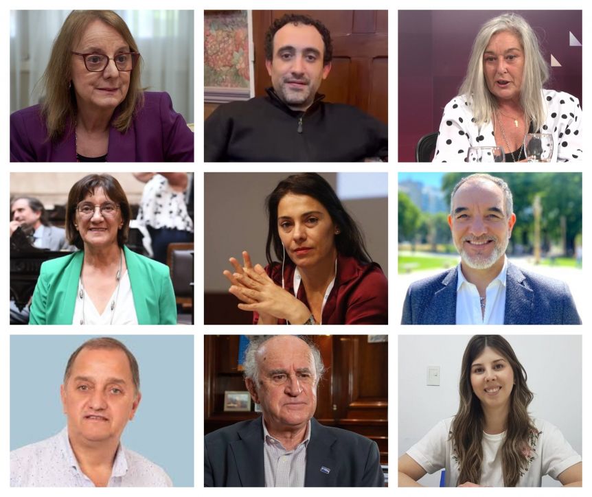 Día D DNU: cómo votarán los senadores patagónicos