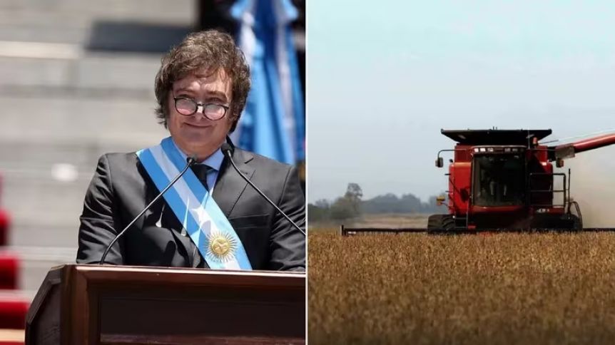Ley de Tierras: un nuevo fallo judicial declaró inconstitucional su derogación