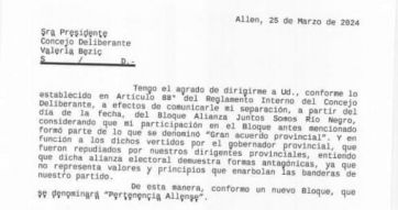 Se acabó el amor: el conflicto con salud hizo detonar el acuerdo entre Weretilneck y Doñate