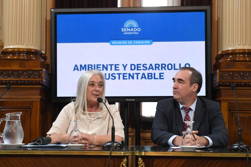 Una senadora sureña presidirá una comisión fundamental para proyectos de hidrógeno verde